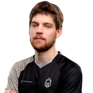 Seleri Player Sticker – TI 2022