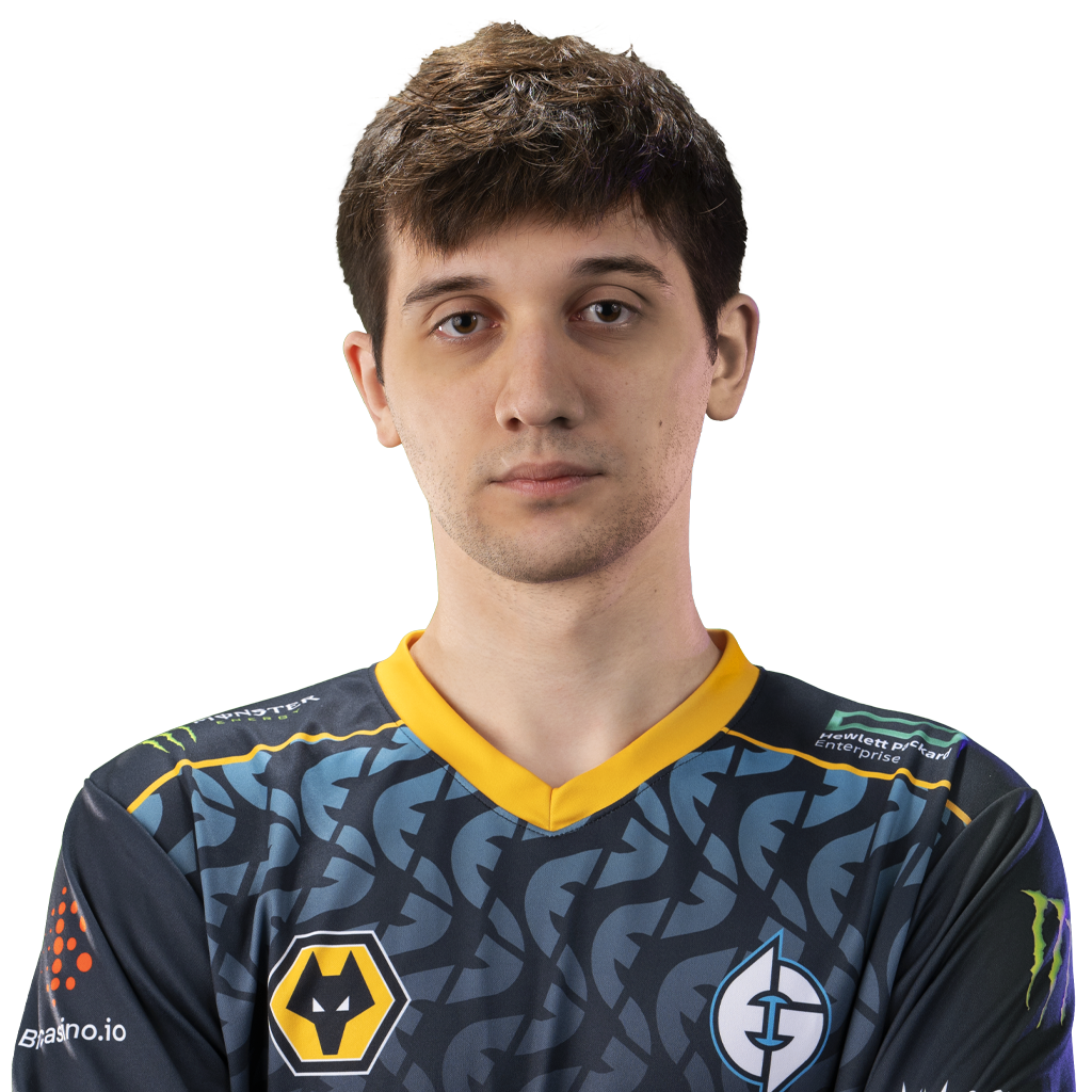 天鸽 Player Sticker – TI 2022